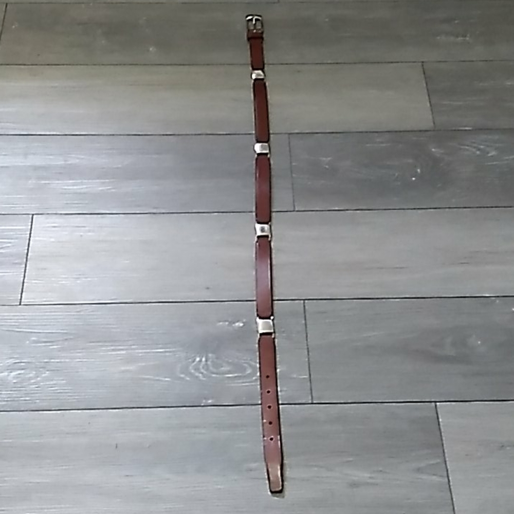 Fossil belt